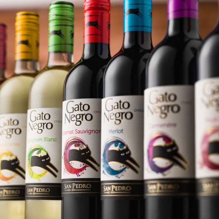 Gato Negro Red Wine Carmenere