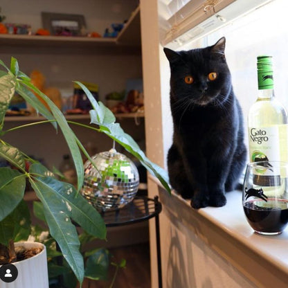 Gato Negro White Wine Sauvignon Blanc