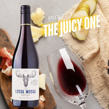 The Loose Moose Sud de France Pinot Noir